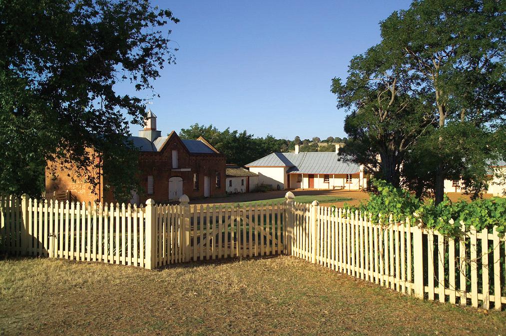 related image
