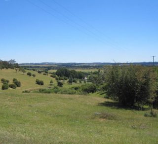 Conservation (Landscape) - Berrima, Sutton Forest
