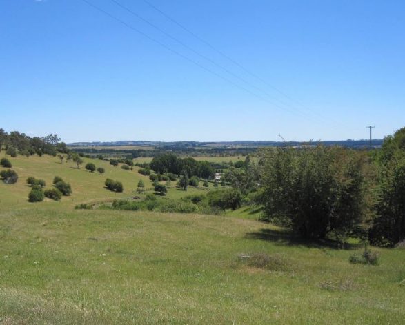 Conservation (Landscape) - Berrima, Sutton Forest