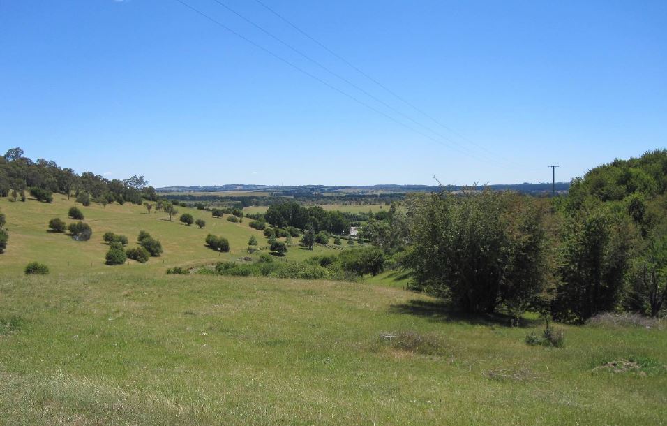 Conservation (Landscape) - Berrima, Sutton Forest