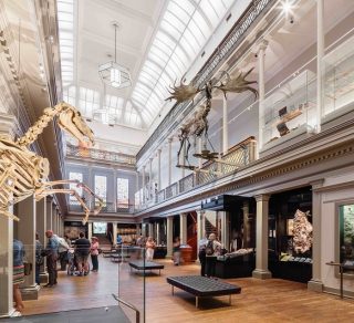 Conservation (Built) - Westpac Long Gallery