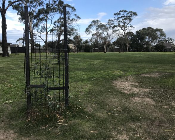 John Butler Reserve, Mount Eliza