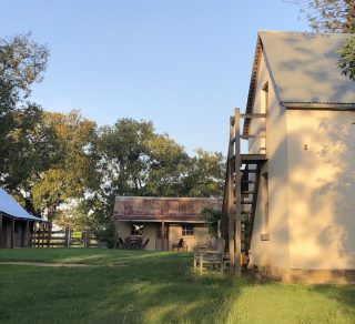 The tranquil heritage area bounded by the house the coach house and the shop related image