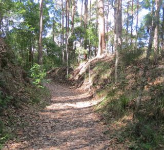 View along track related image