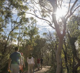 National Park Bushwalking Group