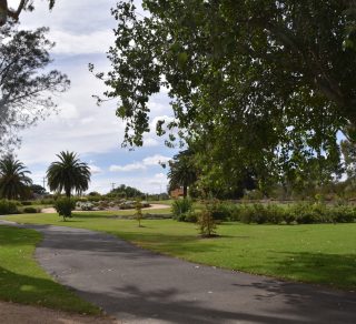 Bendigo Botanic Gardens related image