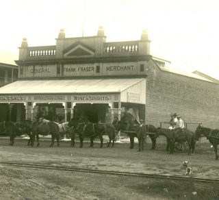 H Lynch with Mule Team Frasers Store Herbert Street Ingham 1907 related image