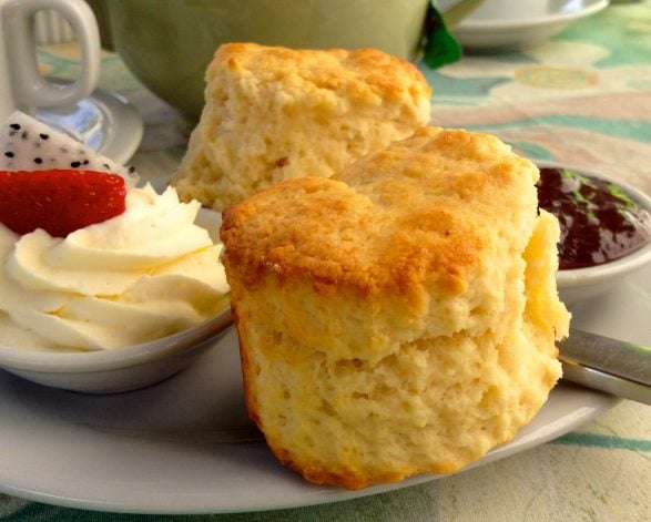 Devonshire Tea Burnett House Gardens 