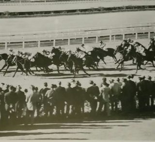 Winfreux winning the 1965 Doomben Ten Thousand related image