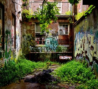2015 Callan Park Photo Competition FOCP and Council Library related image