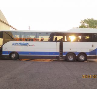 related image