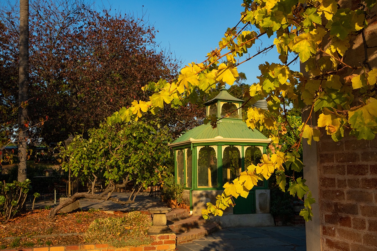 Buda Historic Home and Garden