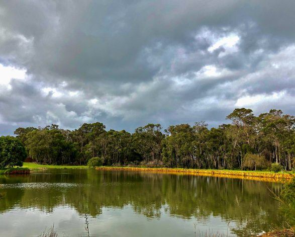 Parkwater Estate Bushland