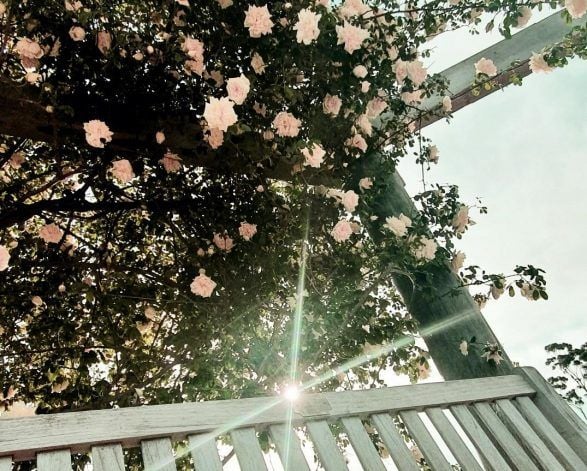 Saumarez Homestead Gardens and Grounds Reopening to the public 15 November