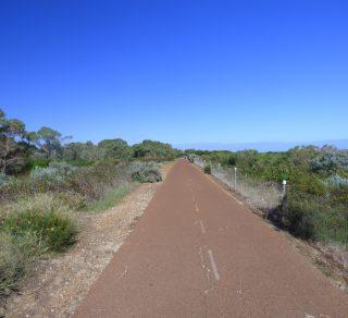 Part of the path along the Coogee Audiowalk related image