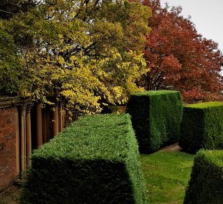 Autumn Garden Theatre related image