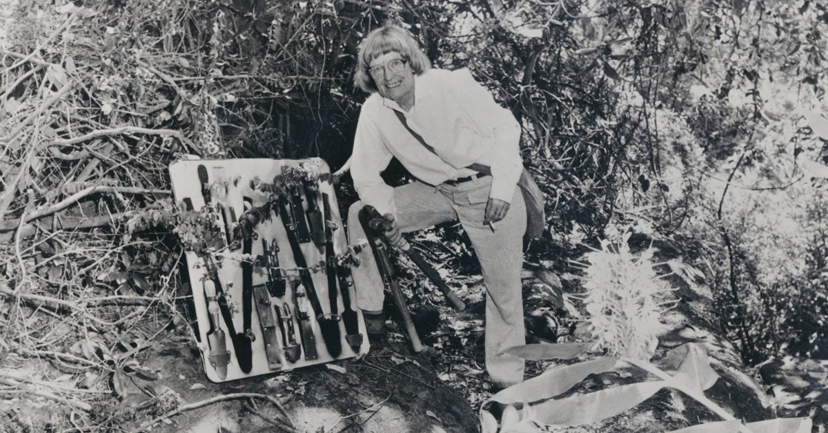 Joan Bradley