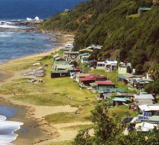 Bulgo Royal National Park related image