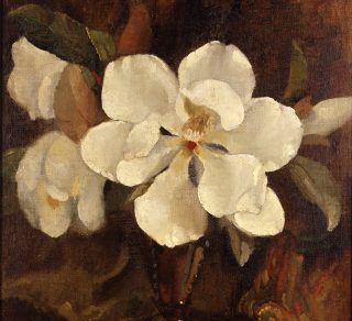 Magnolia Flower oil Margaret Coen 1944 related image