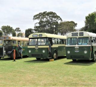 Fleet of buses on display related image