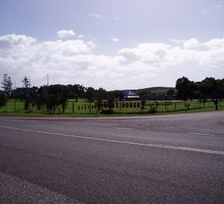 related image