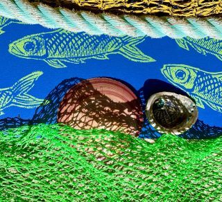 Image by Fish Shack Exhibition Artist and Curator Sandy McKendrick related image
