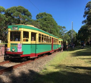 Trams at The Royal National Park Terminus 28 2 21 Handy for Bungoona Lookout related image