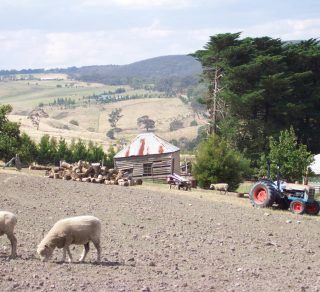 Farm Melton related image