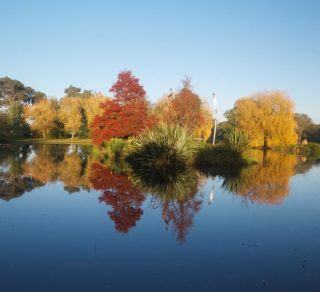Autumn Lake View related image