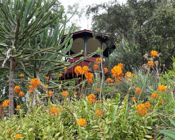 Behind the Scenes with Rippon Lea’s Garden Team