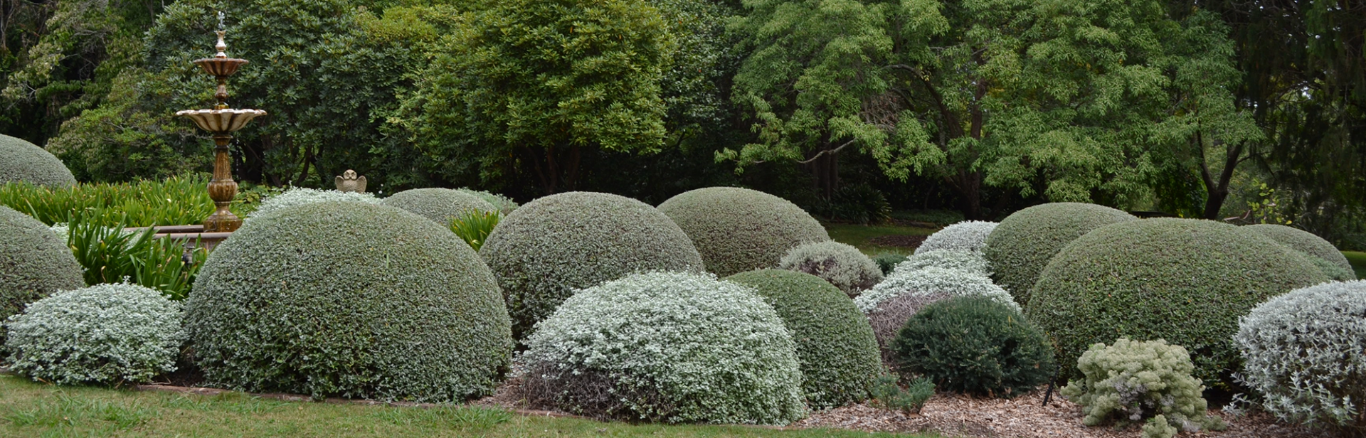 Retford Park garden open day hedges