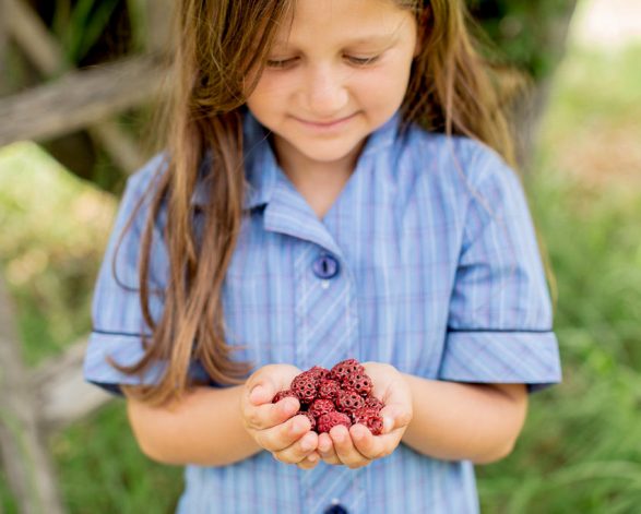 National Trust of Australia (Victoria)