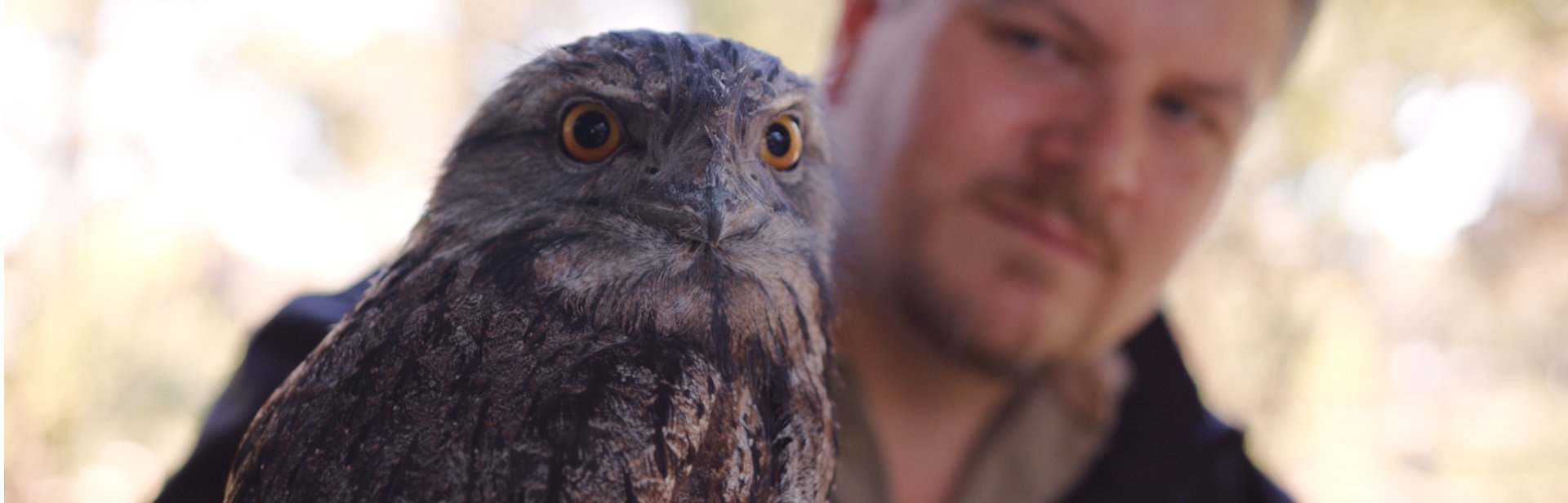 Australian Wildlife Sanctuary