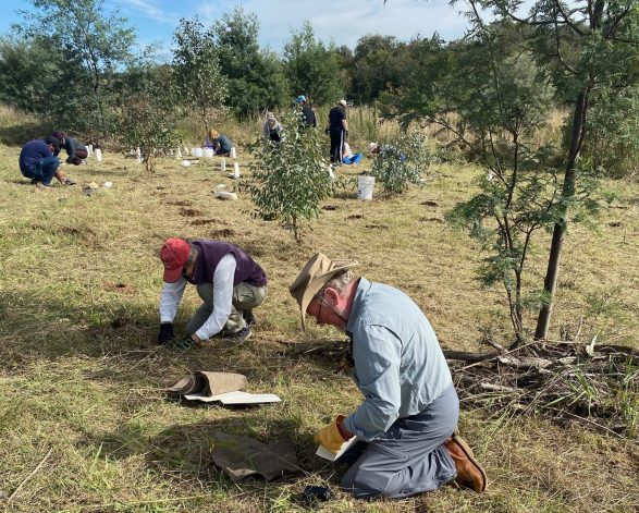 BMS Community Tree Planting Day