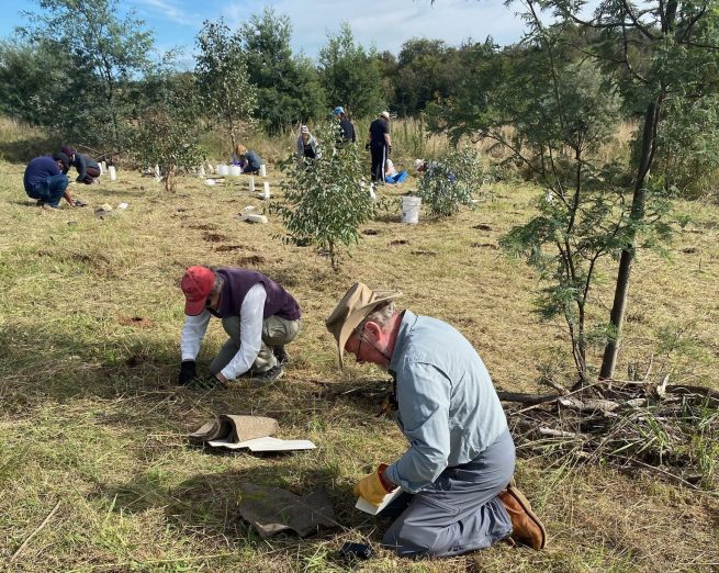 BMS Community Tree Planting Day