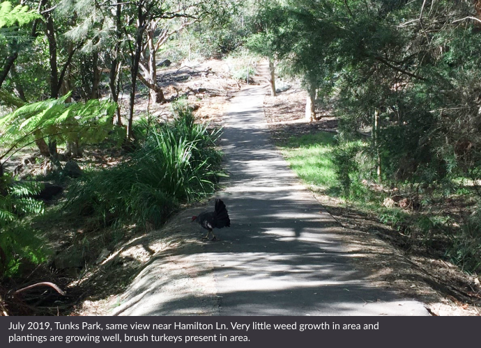 Tunks Park Figure 26. July 2019