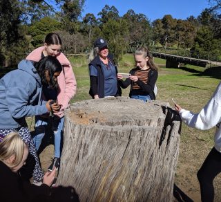 Capture images within Parramatta Park related image