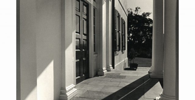 feature image