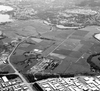 Dairy Flat 1980s related image