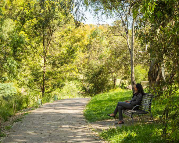 Moreland Council Creates Significant Tree Register