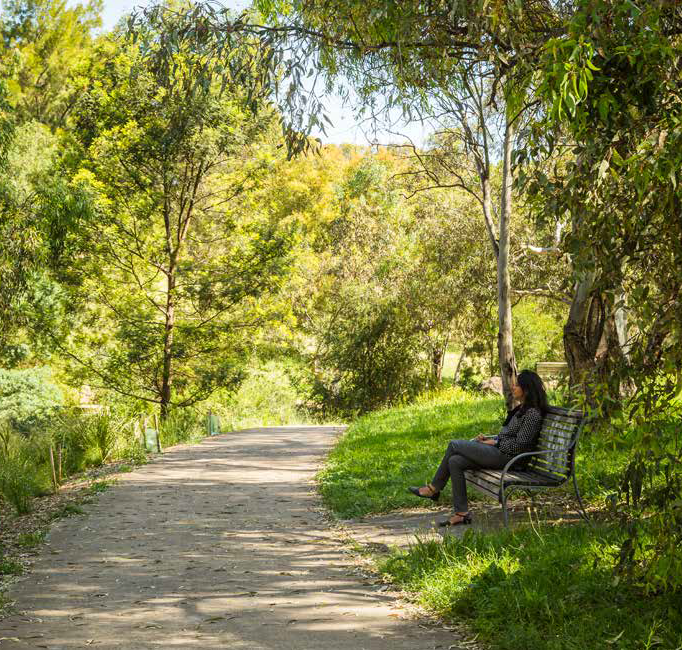 Moreland Council Creates Significant Tree Register