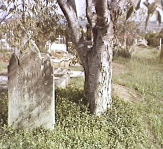 St Peters Anglican Cemetery Campbelltown related image