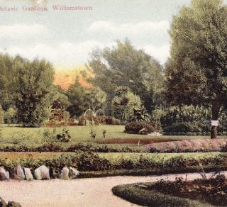 Postcards from the Gardens related image