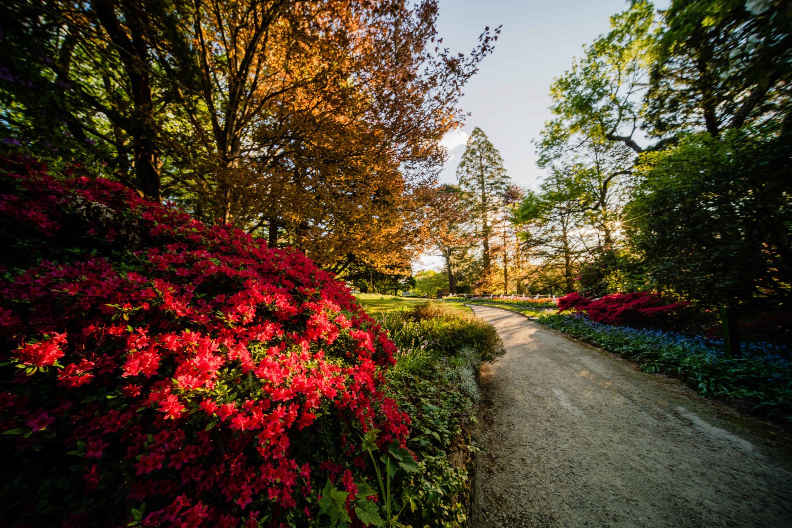 Everglades House  Gardens