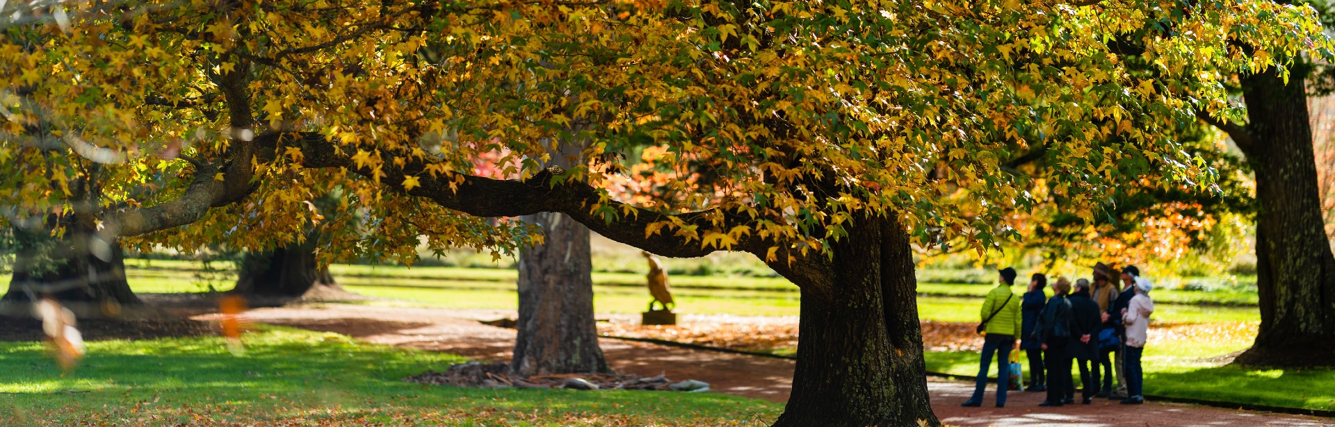 Retford Park garden tour