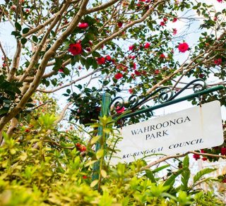 Wahroonga Park signage related image