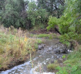 Toolern Creek Werribee River May 2012 related image