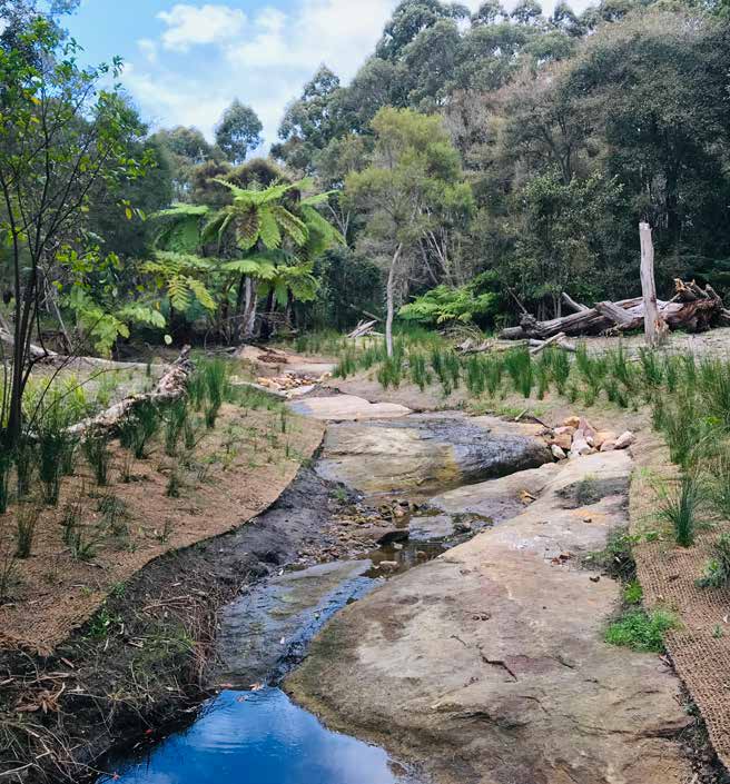 Loftus Creek