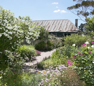 Ziebell s Farmhouse Museum and Heritage Garden related image