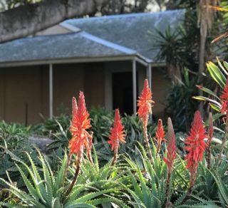 How the gardens come to life related image